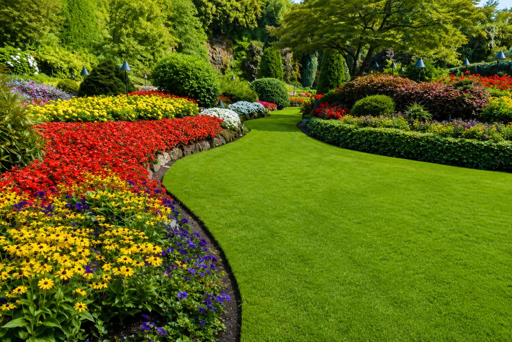 Softscape & Planting Works