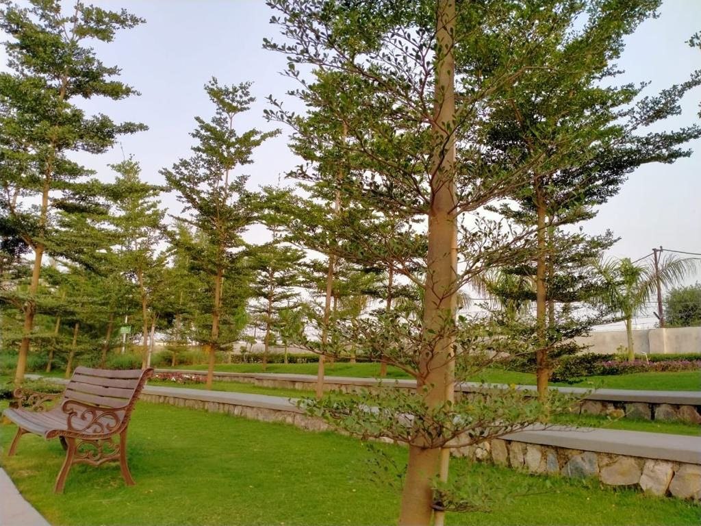 Wetland Park – Noida