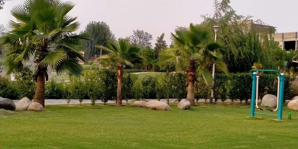 Wetland Park – Noida