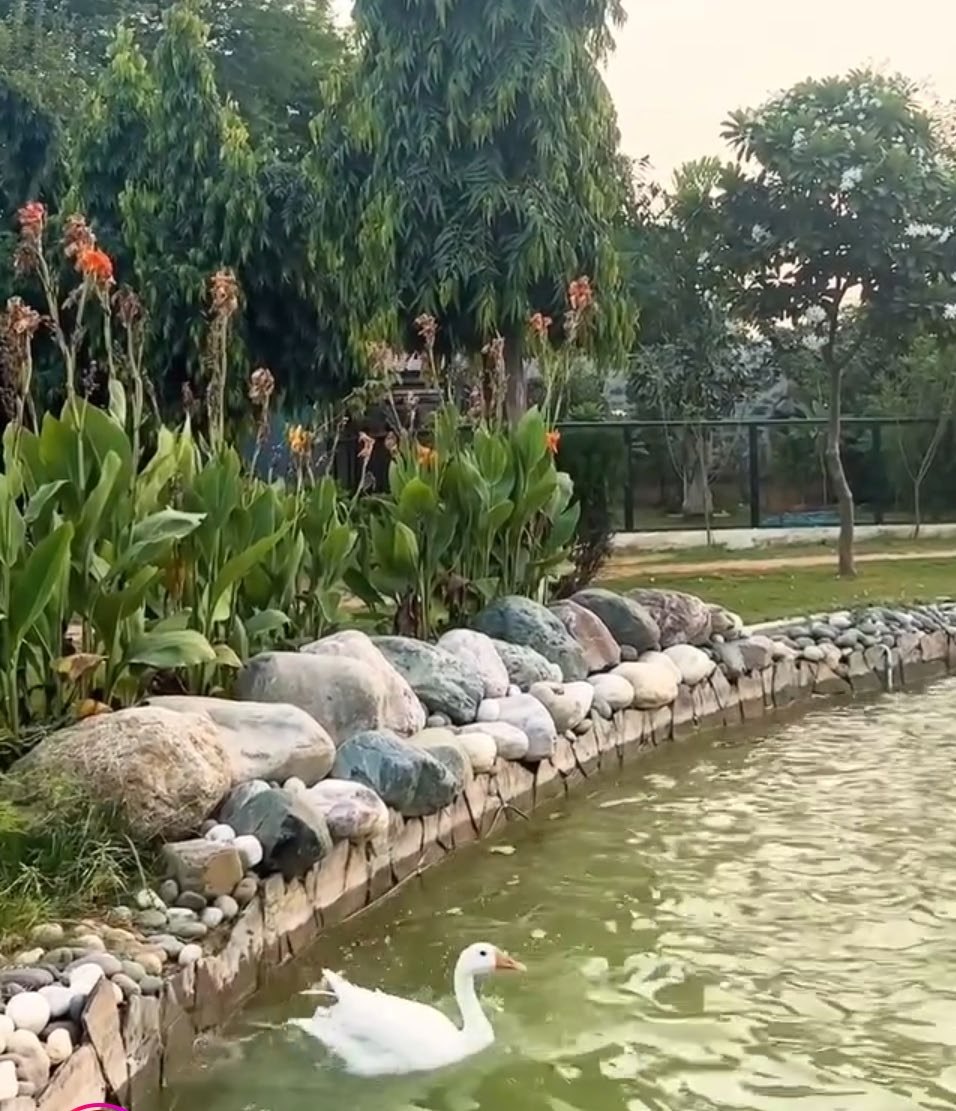 Petting Zoo – Delhi
